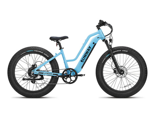 Fastron ST Fat-Bike-E-Bike