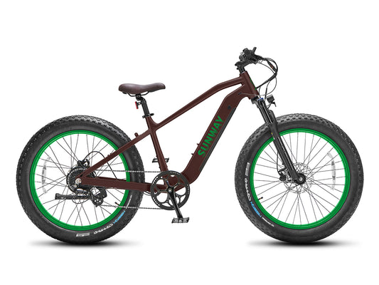 Fastron SO Fatbike-E-Bike
